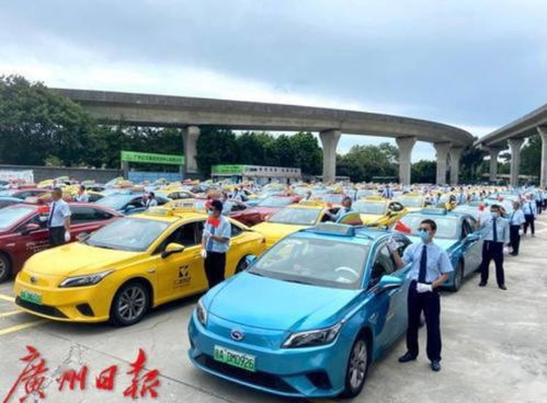 广州5万余出租汽车驾驶员参加服务质量考核,近9成aaa级
